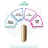 Picture of Lion's Mane Mushroom 1200mg – 60 Vegan Capsules