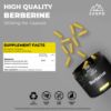 Picture of Berberine Supplement 1000mg – 90 Vegan Capsules