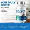 Picture of Brain Booster