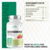 Picture of Berberine