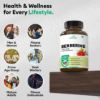 Picture of Berberine